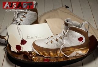 Air-Jordan-IX-9-Bin-23-Premio-new-1-www.AJSADT.com.jpg